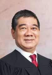 The Honourable Justice Andre Maniam